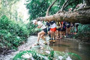 BIB: 
                            <button type="button" onclick="openModal(25467454)" class="btn btn-primary btn-sm float-right btn-popup" data-toggle="modal" data-target=".modal-high-quality">
                        <i class="fas fa-shopping-cart"></i> Add to Cart
                    </button>
                                            <button type="button" onclick="isThisMe(25467454, true)" class="btn btn-success btn-sm float-right btn-popup btn-isme hidden" data-toggle="tooltip" data-placement="bottom" title="นี่คือรูปของคุณใช่ไหม คลิกที่นี่เพื่อเอาเข้าอัลบั้ม">
                        <i class="fas fa-plus"></i> Add to album
                    </button>
                    <button type="button" onclick="isThisMe(25467454, false)" class="btn btn-warning btn-sm float-right btn-popup btn-isnotme hidden">
                        <i class="fas fa-ban"></i> Remove from album
                    </button>